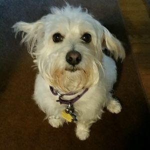 Meet your Posher, Cindy