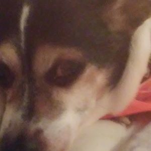 Meet your Posher, Lisa june