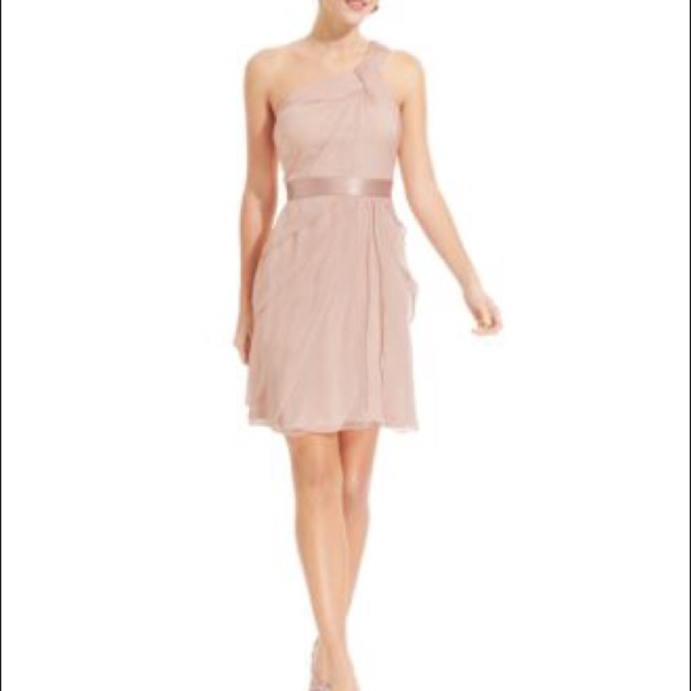 Blush Adrianna Papell Dress