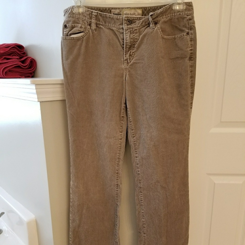 Ann Taylor Loft Cords