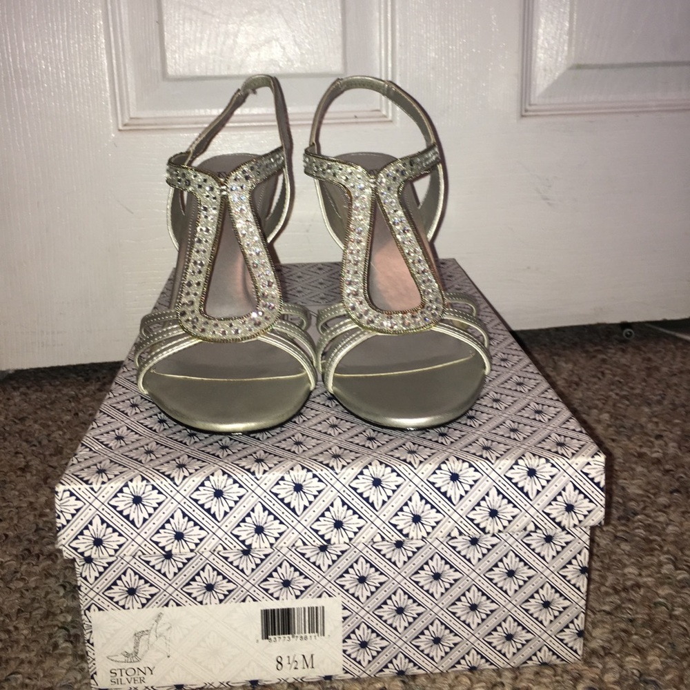 Silver Evening Shoes