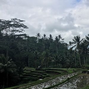 Meet your Posher, Caleb