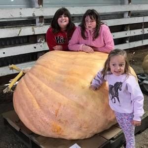 Meet your Posher, Becky