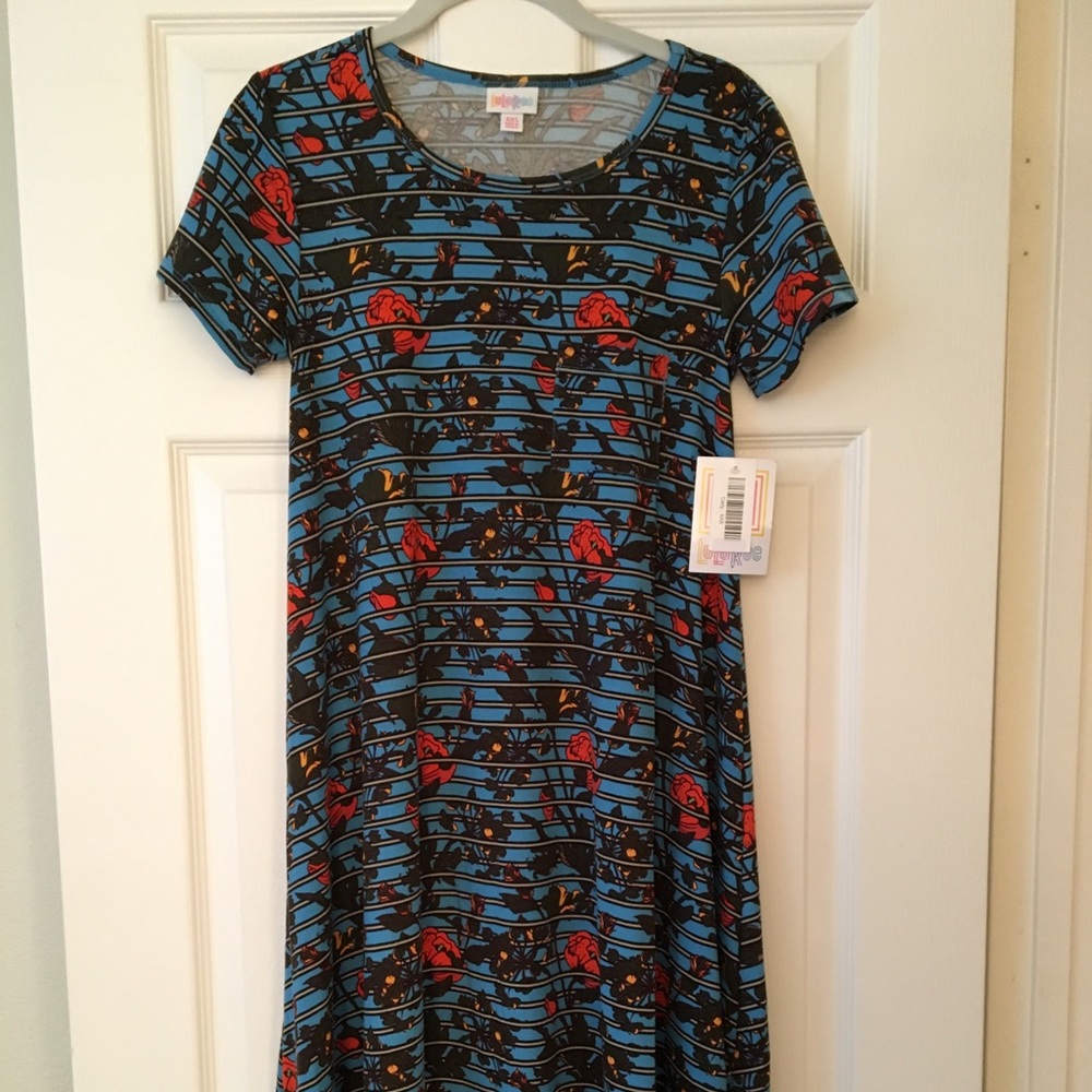 Xxs lularoe Carly. Beautiful flower print stripes