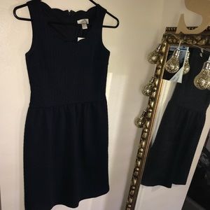 Women’s Loft Scallop dress