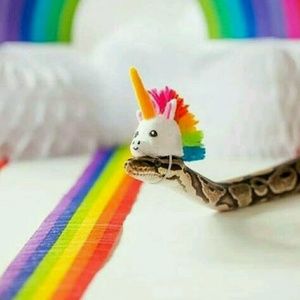 Meet your Posher, Brittney