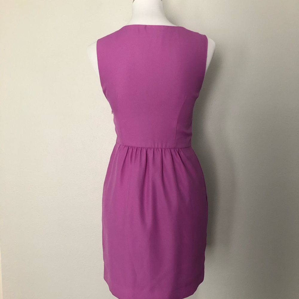 JCrew Jackie Style Dress - Picture 3 of 3