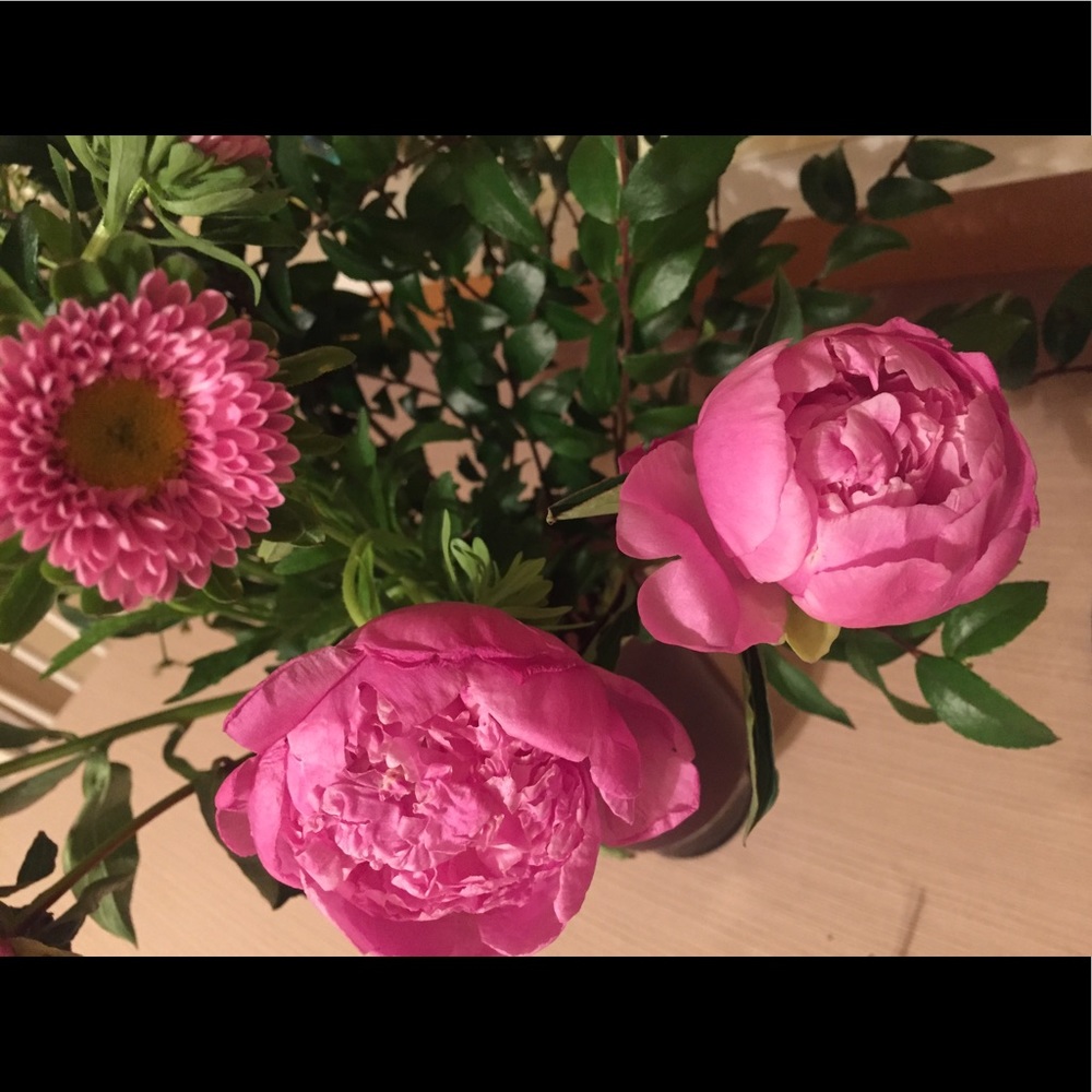 Meet your Posher, Amina