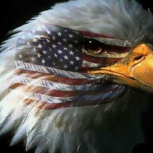 Meet your Posher, Cathy