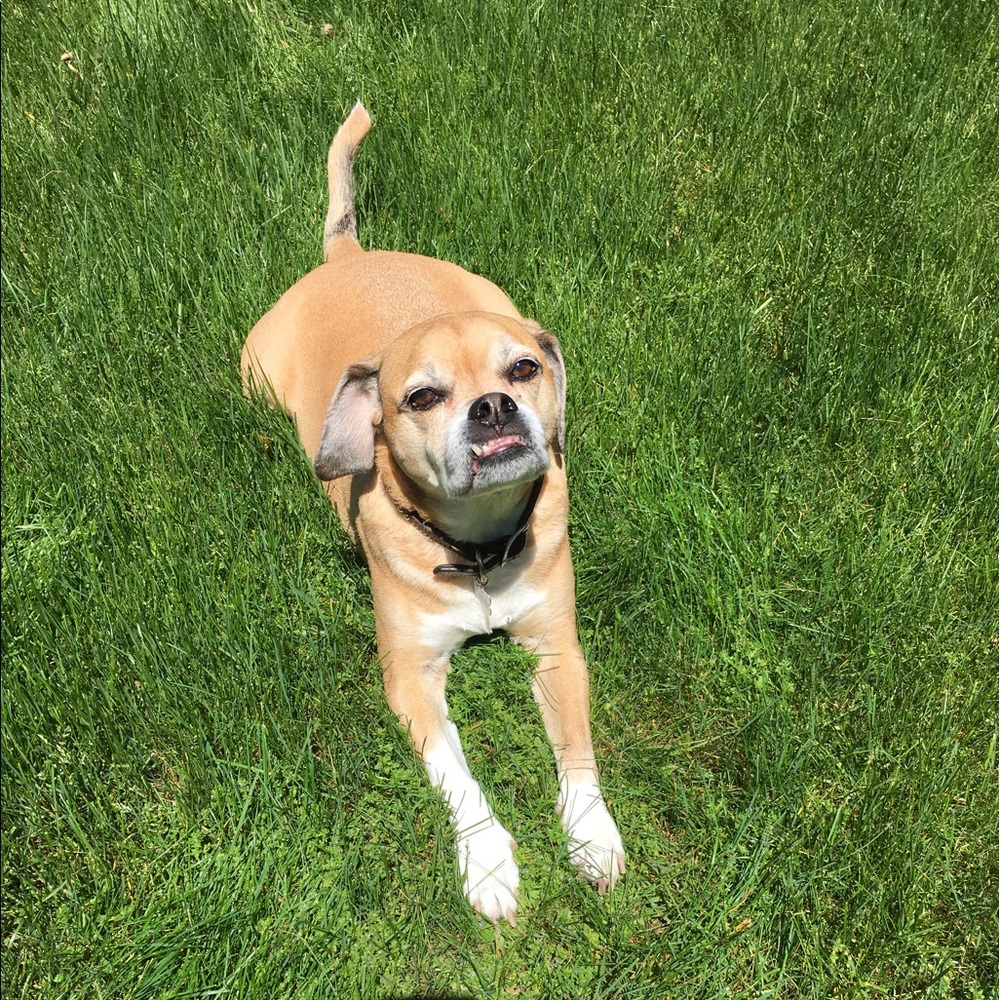 Meet your Posher, Ugur