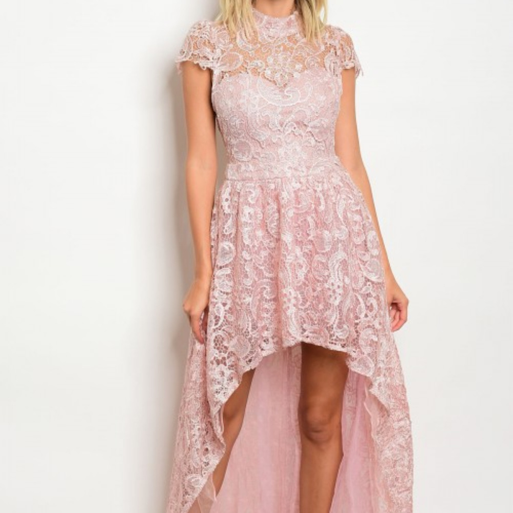 🔴LAST 1🔴 'BEAUTY IN BLUSH' GOWN - Picture 3 of 4