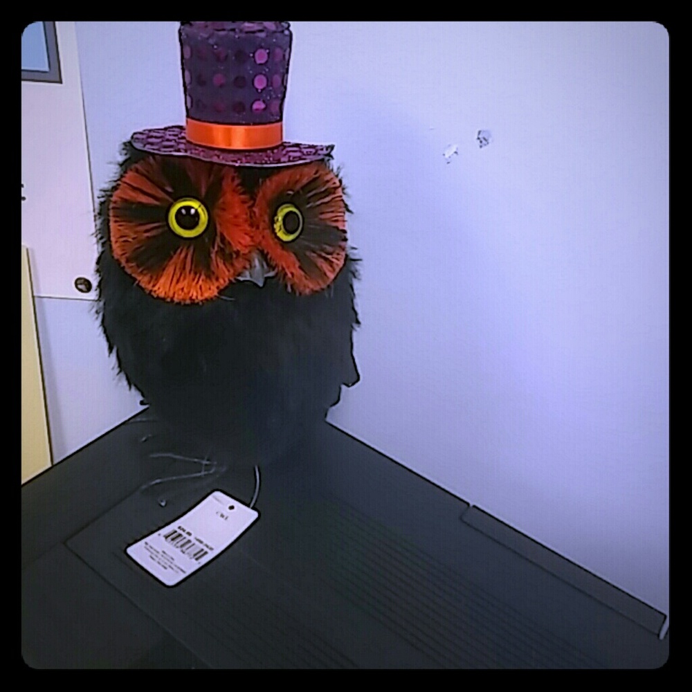 Halloween owl