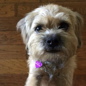 Meet your Posher, Devon