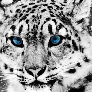 Meet your Posher, Hilda