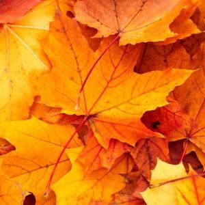 Meet your Posher, Kaitlin