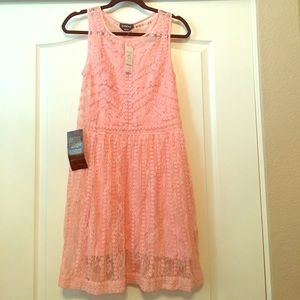 NWT Bebe Dress Size 6!