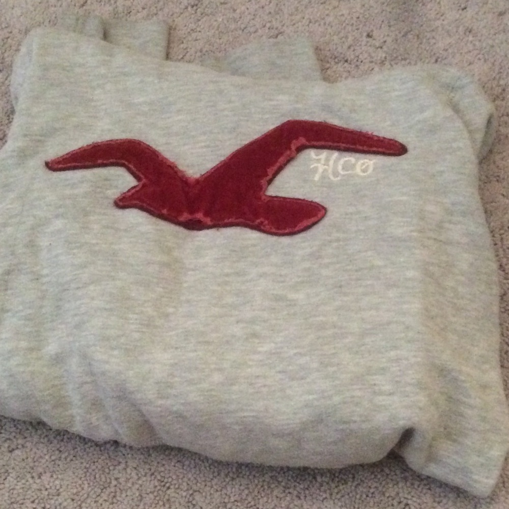 Grey Hollister Sweatshirt (reposted)