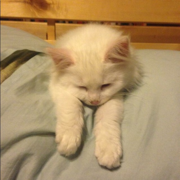 Meet your Posher, Salem - Picture 8 of 8