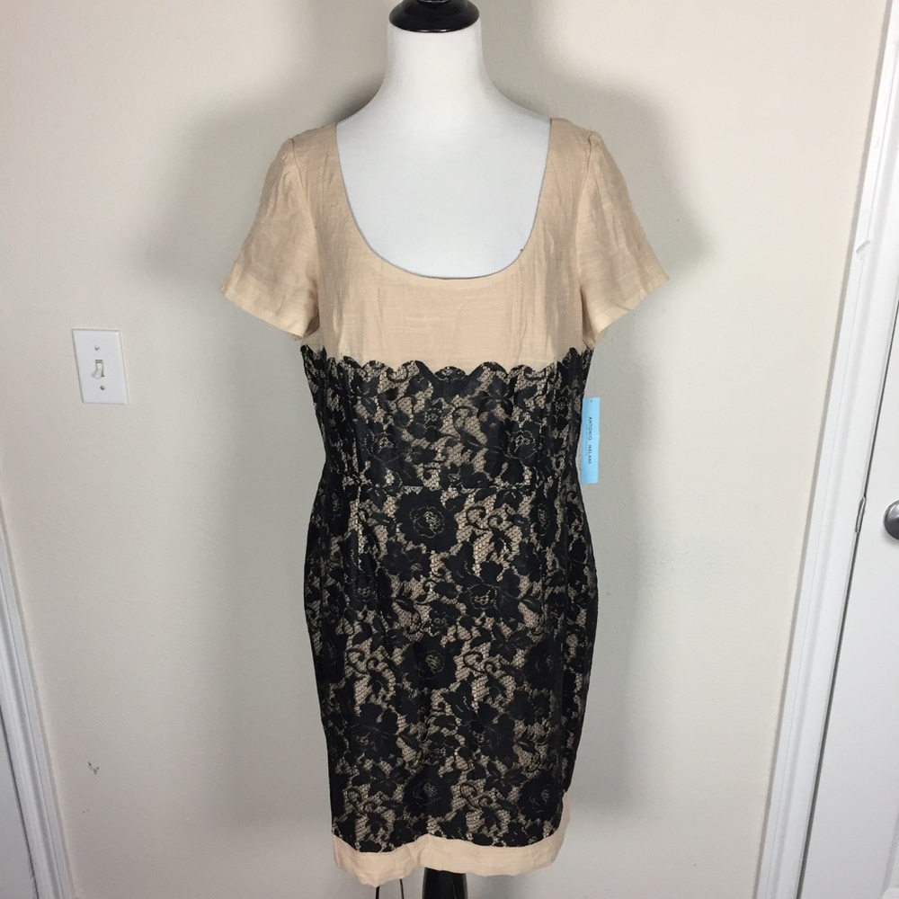 NWT Antonio Melani Dita Dress
