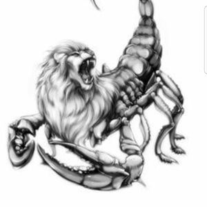 Meet your Posher, Remi