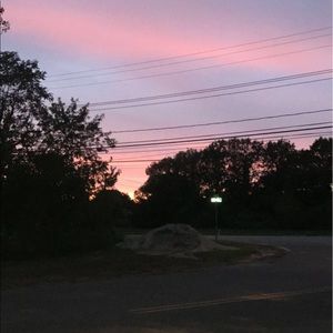 Meet your Posher, Bella