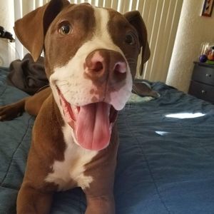 Meet your Posher, Raquel