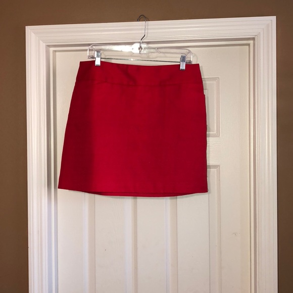 ann taylor loft Dresses & Skirts - Women’s skirt