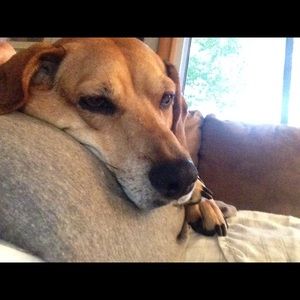 Meet your Posher, Kristin