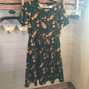 Lularoe Amelia Pocket Dress