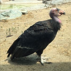 Meet your Posher, Evan