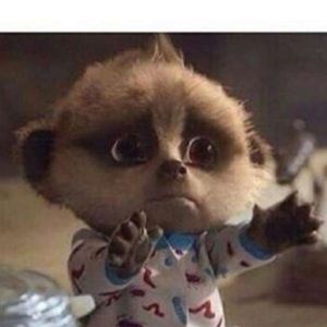 Meet your Posher, Diamond