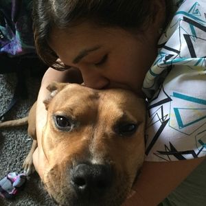 Meet your Posher, Solitario