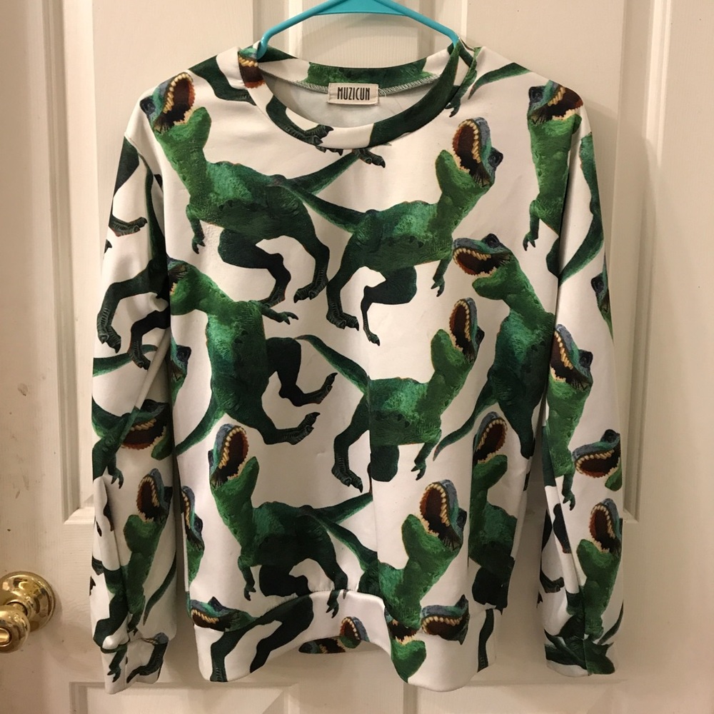 Dinosaur sweatshirt