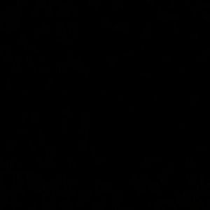 Meet your Posher, Dallas