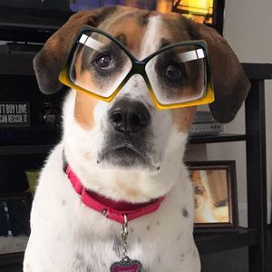 Meet your Posher, Macy