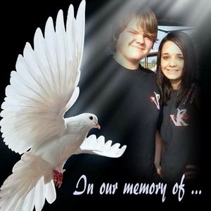 Meet your Posher, Nova