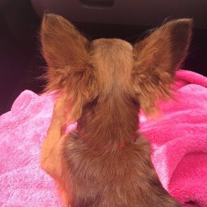 Meet your Posher, Madison