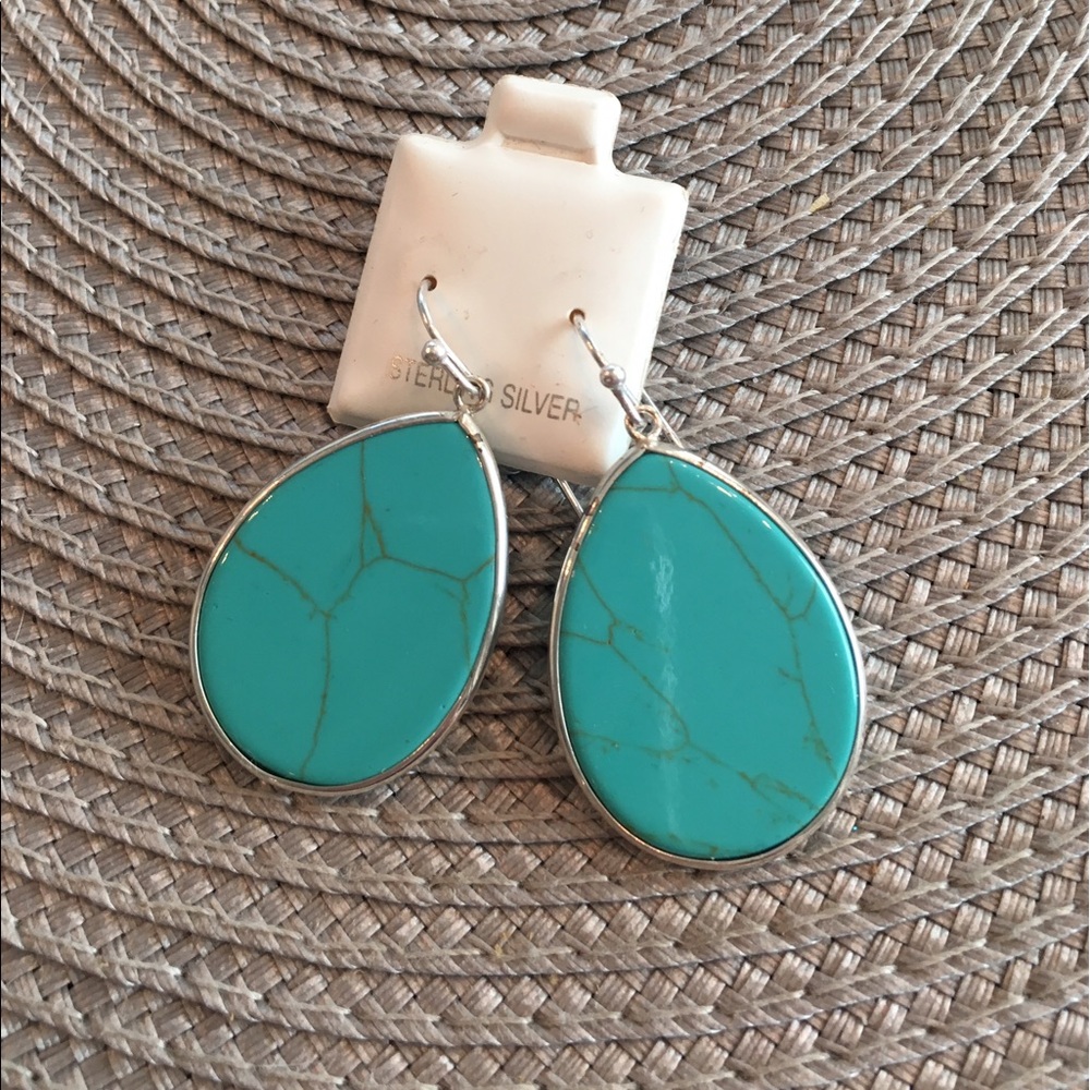 Sterling Silver & Turquoise Earrings