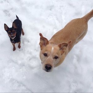 Meet your Posher, Erin