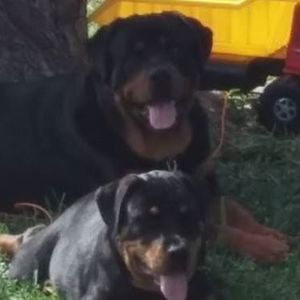 Meet your Posher, Tee