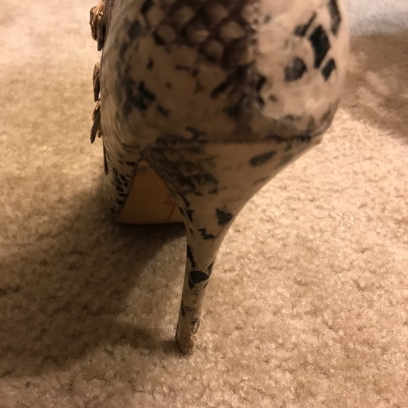 Snake Print Booties by Zigisoho from Bakers - Picture 4 of 5