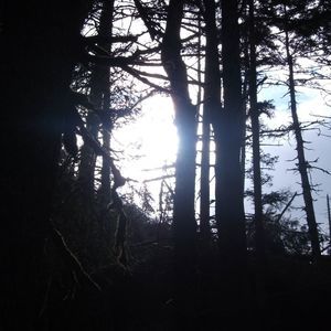 Meet your Posher, Eva-maye