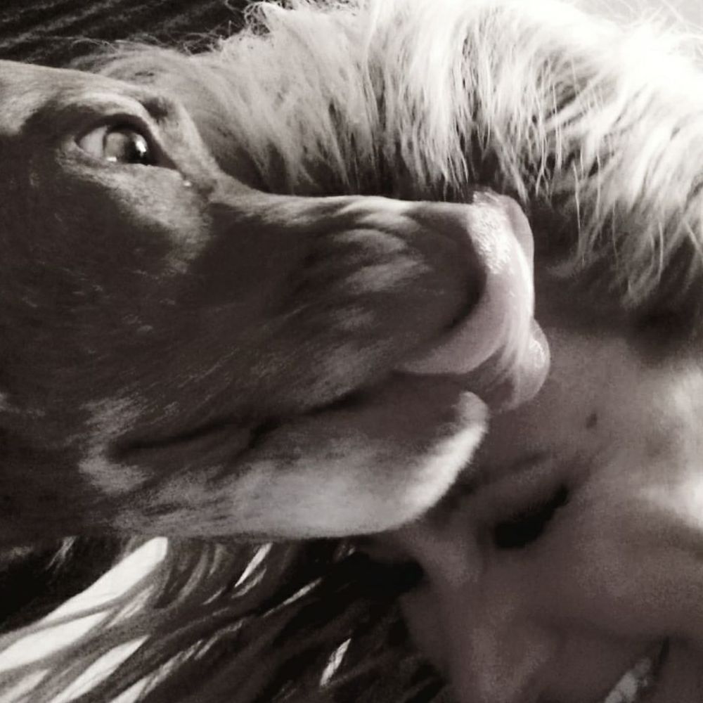 Meet your Posher, Bambi