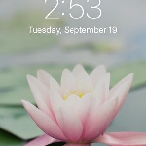 Meet your Posher, Al