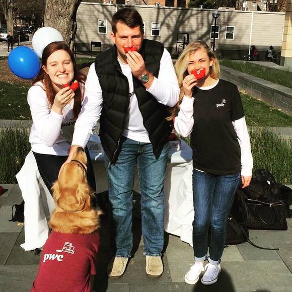 Meet your Posher, Pete - Picture 1 of 1