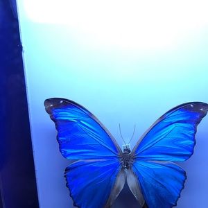 Meet your Posher, Liliana