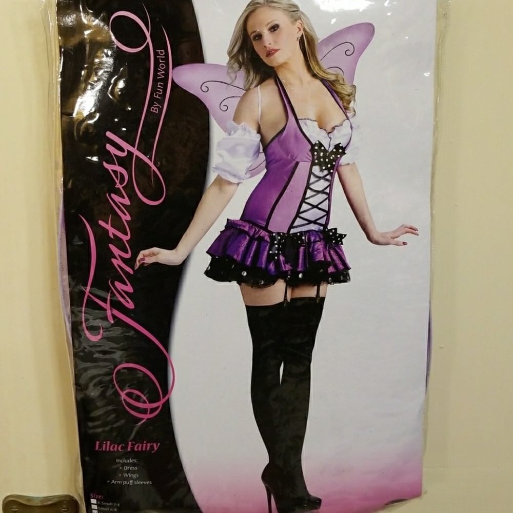 Fairy Costume