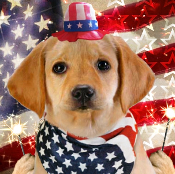 Meet your Posher, Tina - Picture 1 of 1