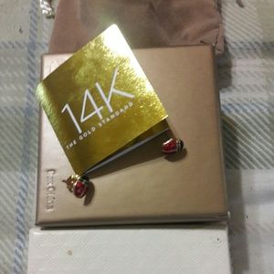 Qvc 14k lady bug posts