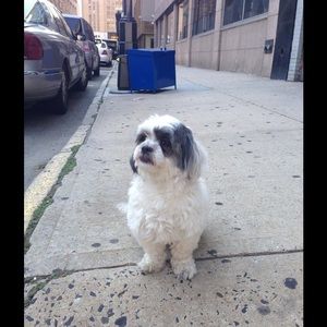 Meet your Posher, Cindy